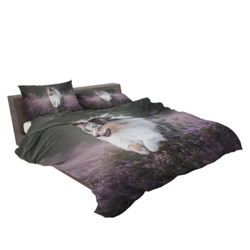 Heather Splendor: Shetland Sheepdog Quartet Bedding Set 2