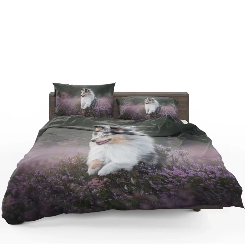 Heather Splendor: Shetland Sheepdog Quartet Bedding Set