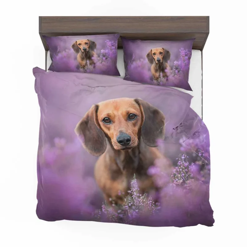 Heather Wonderland: Dachshund Quartet Bedding Set 1