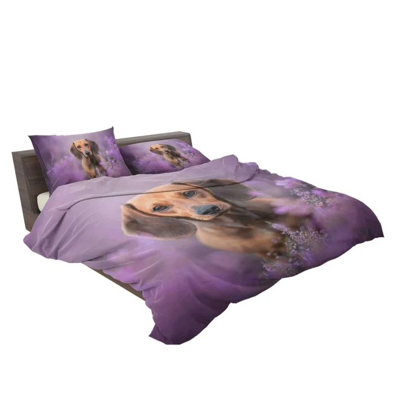 Heather Wonderland: Dachshund Quartet Bedding Set 2