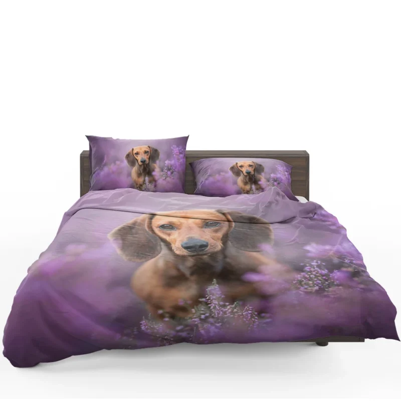 Heather Wonderland: Dachshund Quartet Bedding Set