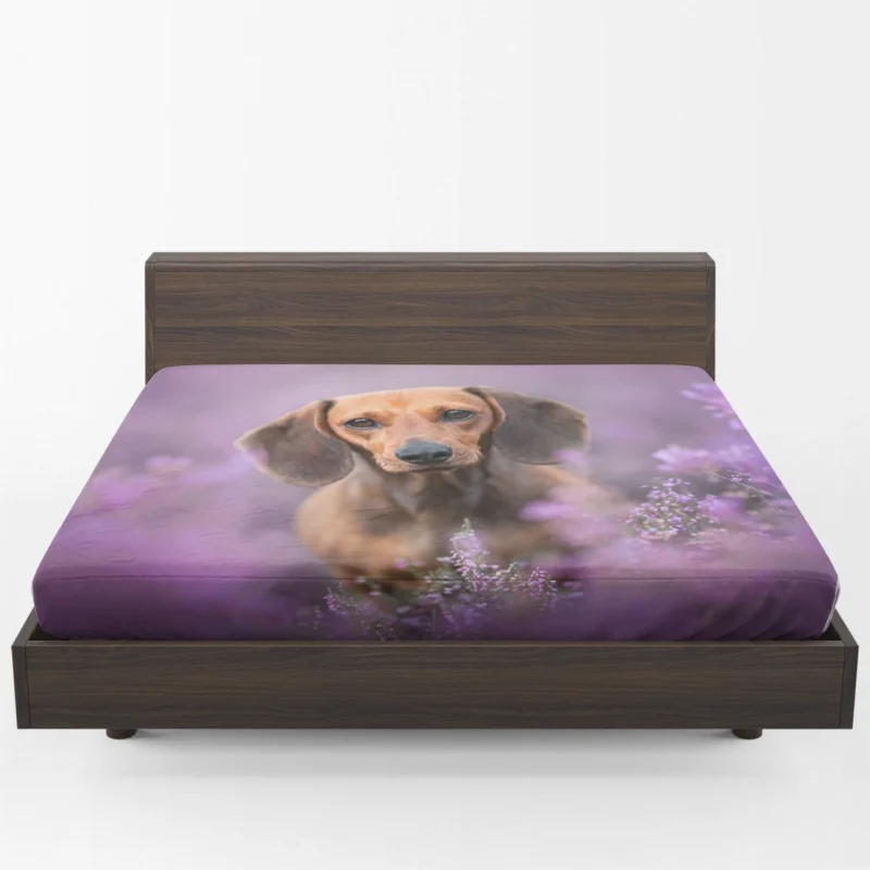 Heather Wonderland: Dachshund Quartet Fitted Sheet 1