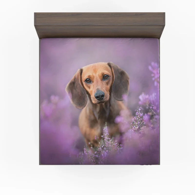 Heather Wonderland: Dachshund Quartet Fitted Sheet