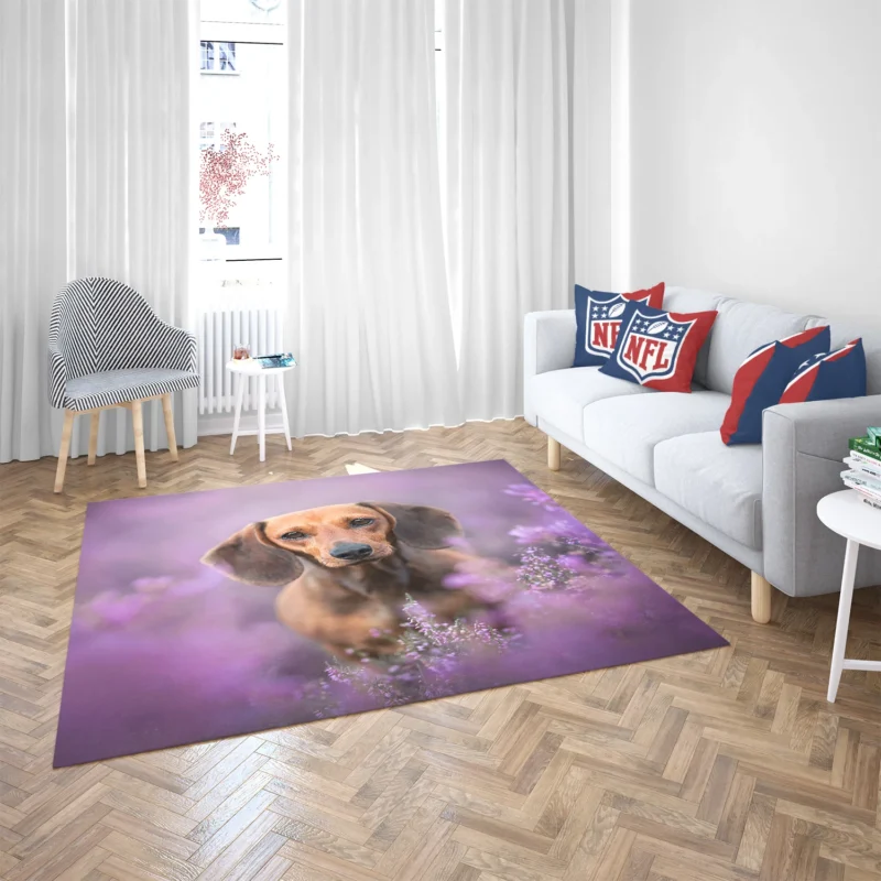 Heather Wonderland: Dachshund Quartet Floor Rug 2