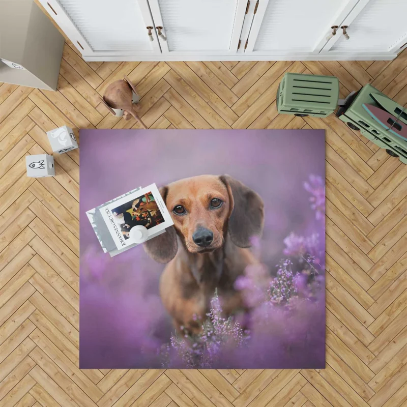 Heather Wonderland: Dachshund Quartet Floor Rug