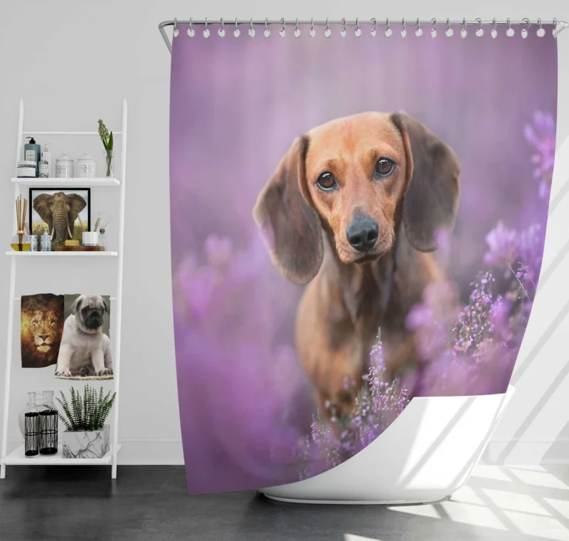 Heather Wonderland: Dachshund Quartet Shower Curtain