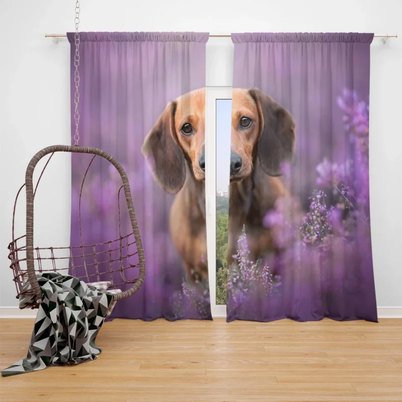 Heather Wonderland: Dachshund Quartet Window Curtain