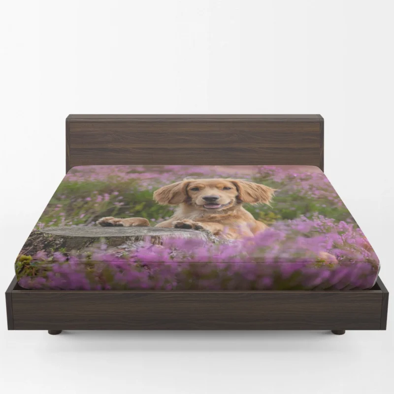 Heather Wonderland: Spaniel Quartet Fitted Sheet 1