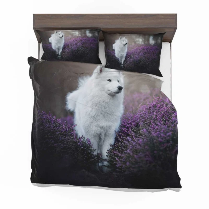 Heather and Purple Flowers: Samoyed Quartet Bedding Set 1