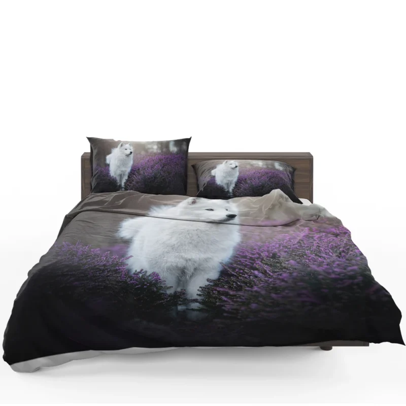 Heather and Purple Flowers: Samoyed Quartet Bedding Set