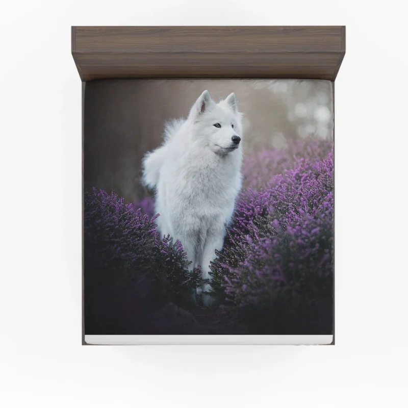 Heather and Purple Flowers: Samoyed Quartet Fitted Sheet