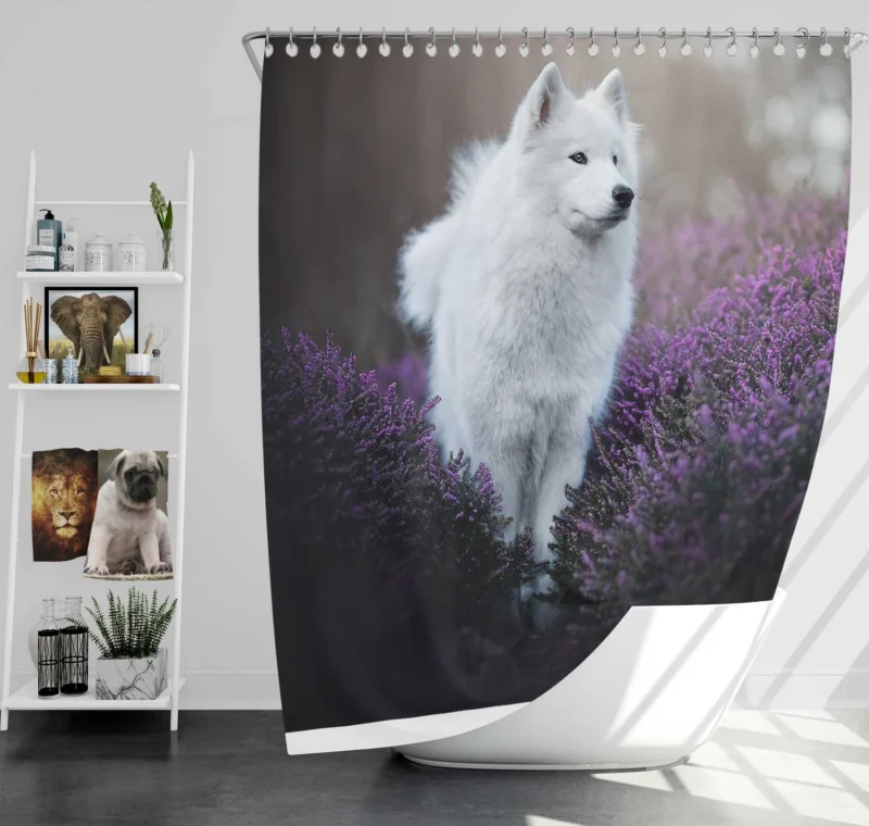 Heather and Purple Flowers: Samoyed Quartet Shower Curtain