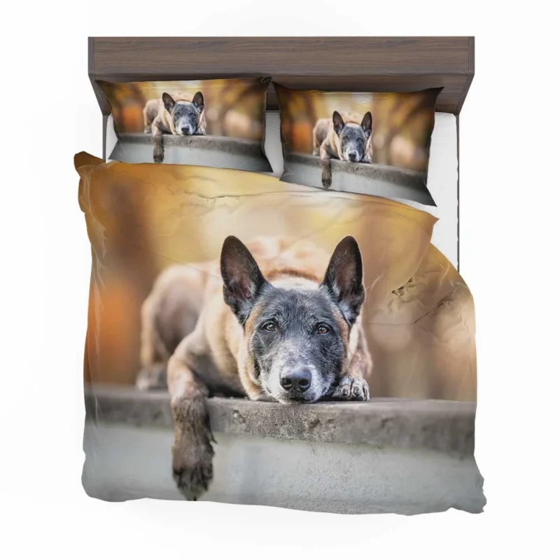 Herding Dog Breed: Australian Cattle Dog Bedding Set 1