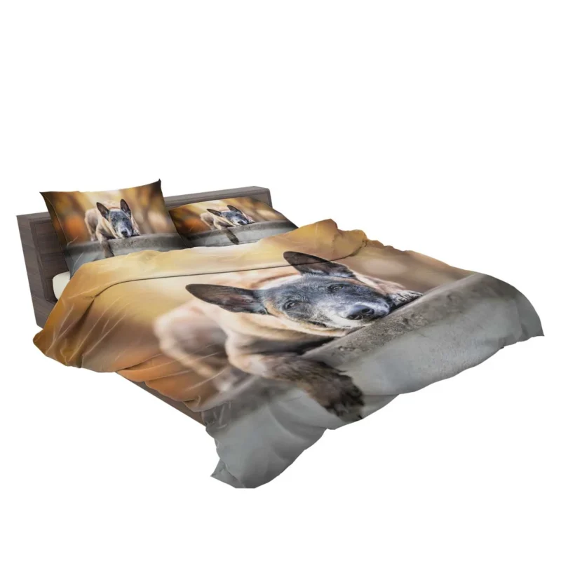 Herding Dog Breed: Australian Cattle Dog Bedding Set 2