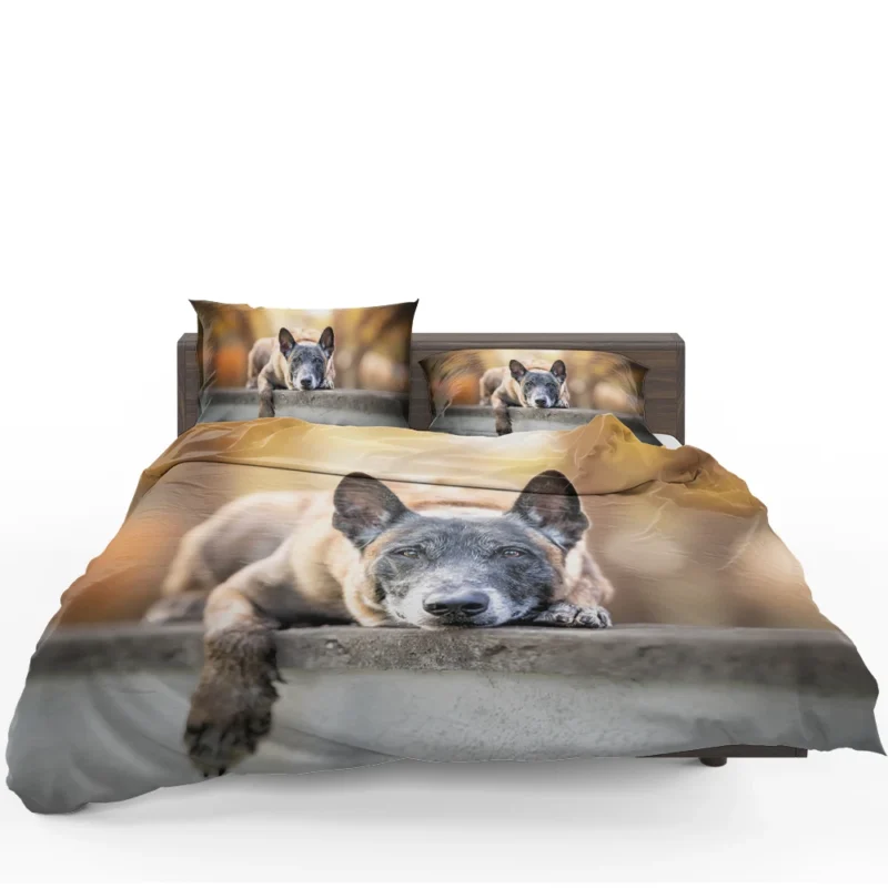 Herding Dog Breed: Australian Cattle Dog Bedding Set