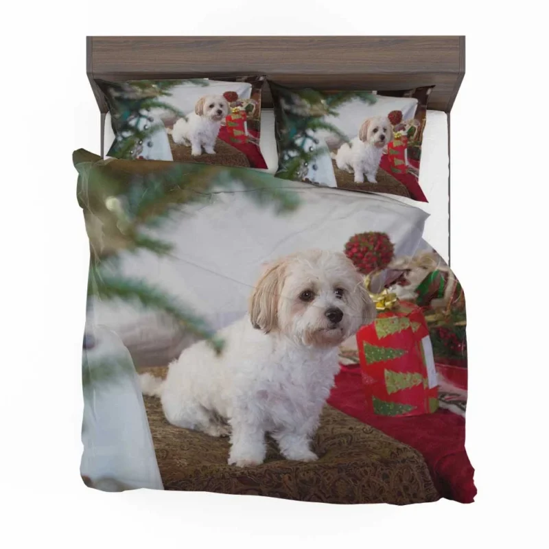 Holiday Delight: Maltese Christmas Puppy Quartet Bedding Set 1