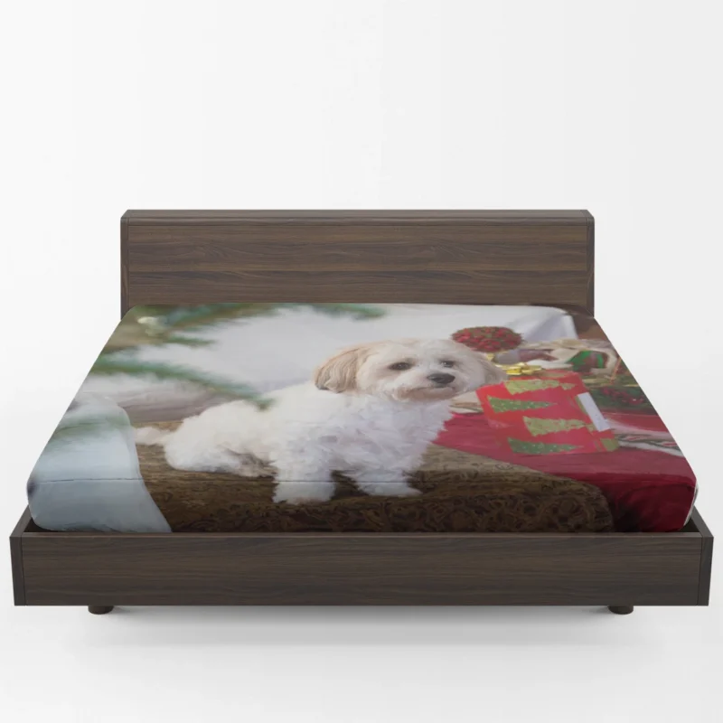 Holiday Delight: Maltese Christmas Puppy Quartet Fitted Sheet 1