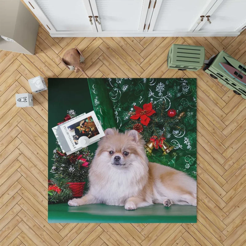 Holiday Greenery: Pomeranian Christmas Quartet Floor Rug