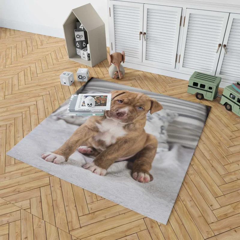 Holiday Puppy Delight: Pit Bull Quartet Floor Rug 1