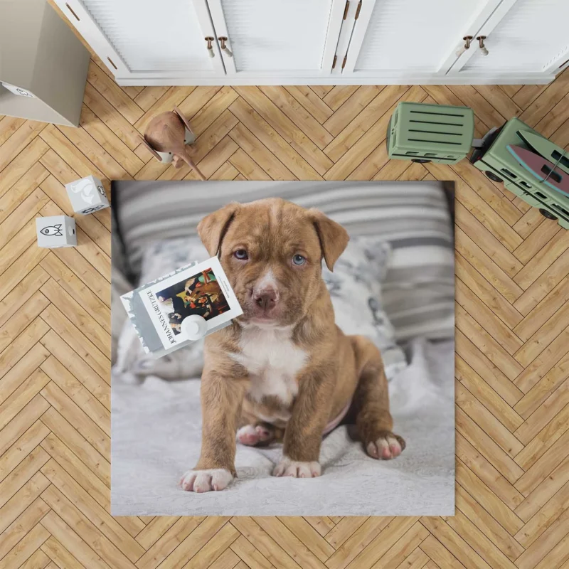 Holiday Puppy Delight: Pit Bull Quartet Floor Rug