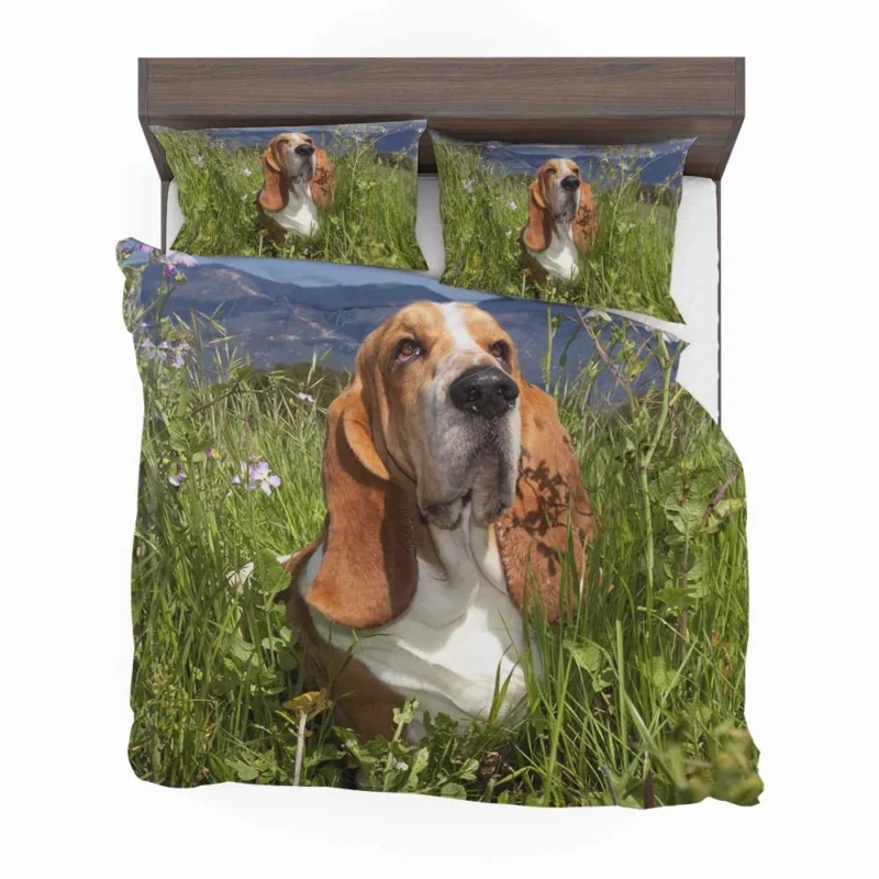 Hound Beauty and Basset Charm: Basset Hound Bedding Set 1