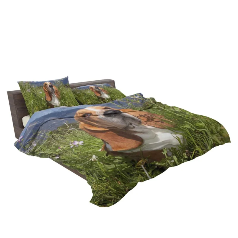 Hound Beauty and Basset Charm: Basset Hound Bedding Set 2