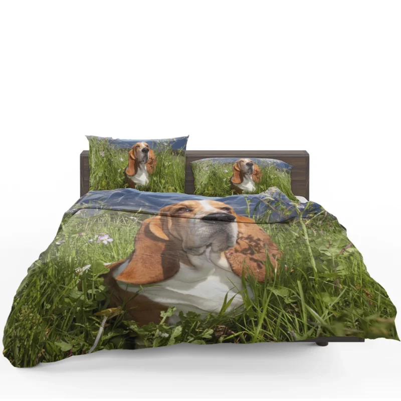 Hound Beauty and Basset Charm: Basset Hound Bedding Set