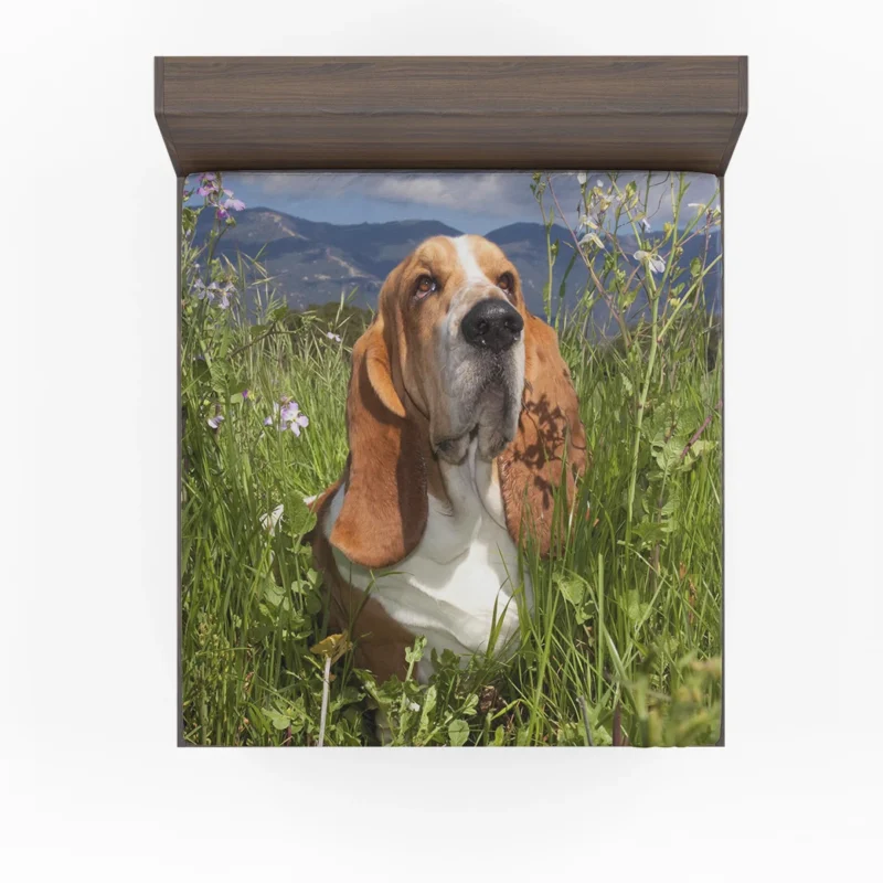Hound Beauty and Basset Charm: Basset Hound Fitted Sheet