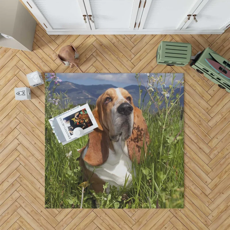 Hound Beauty and Basset Charm: Basset Hound Floor Rug