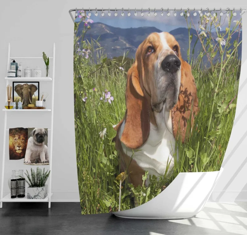 Hound Beauty and Basset Charm: Basset Hound Shower Curtain