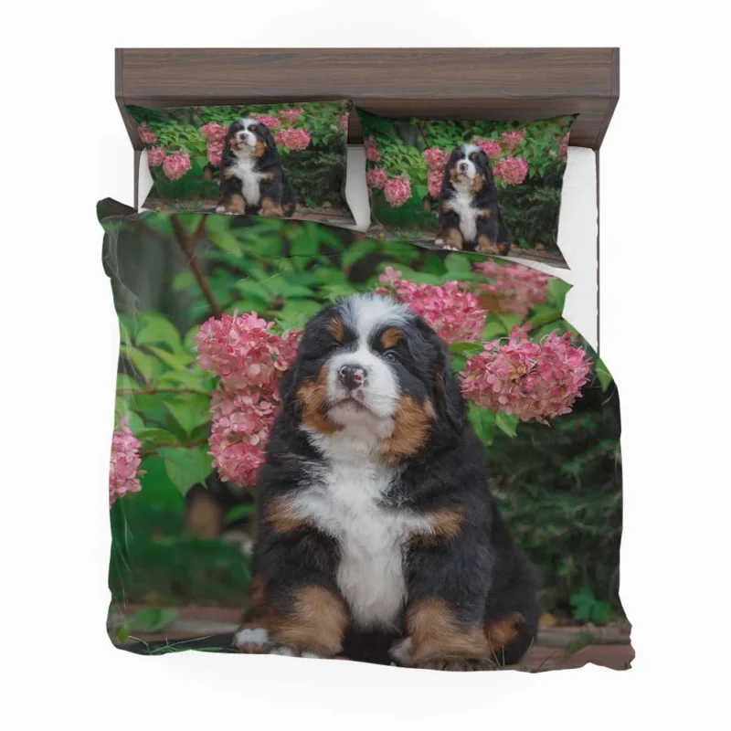 Hydrangea Flower Beauty with Bernese Ba and Puppy: Bernese Mountain Dog Bedding Set 1
