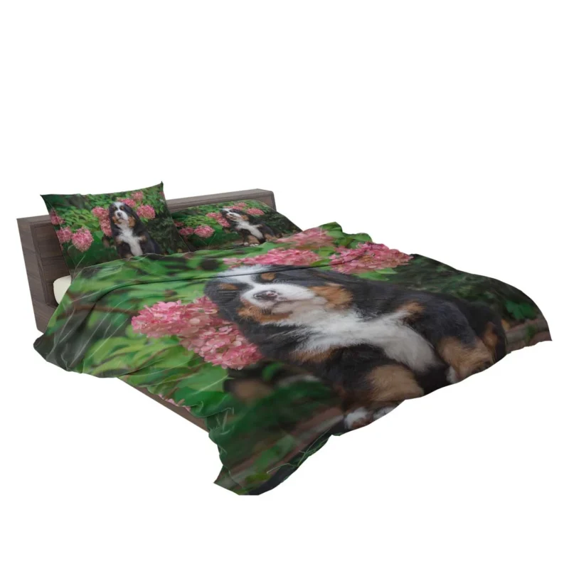 Hydrangea Flower Beauty with Bernese Ba and Puppy: Bernese Mountain Dog Bedding Set 2