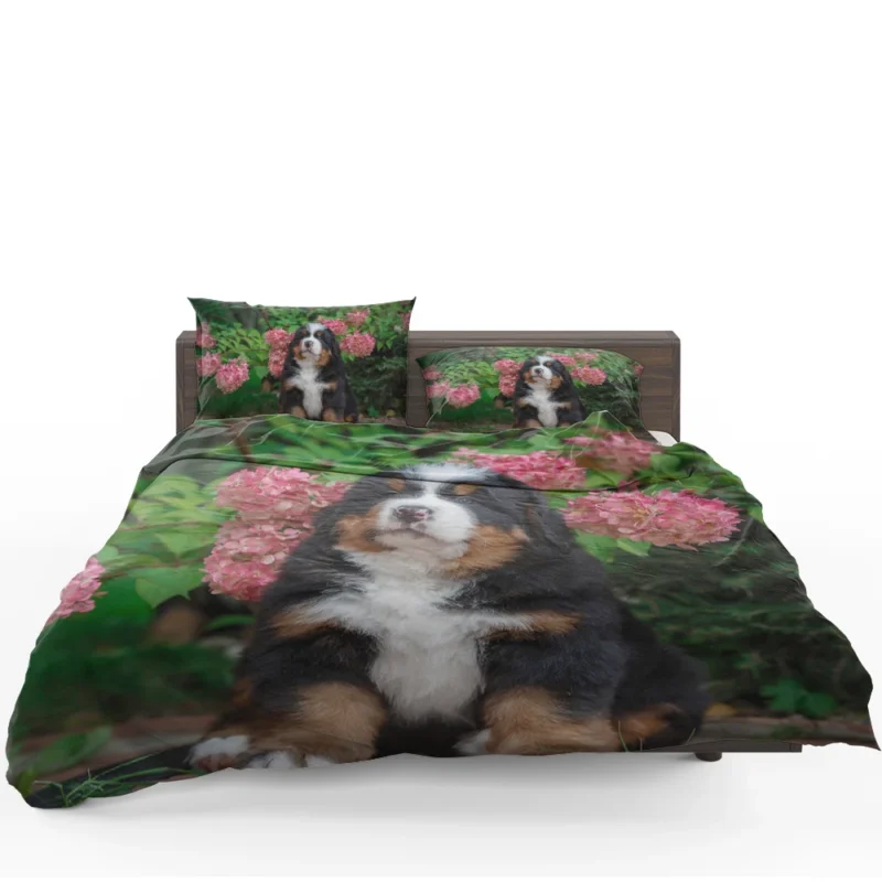 Hydrangea Flower Beauty with Bernese Ba and Puppy: Bernese Mountain Dog Bedding Set
