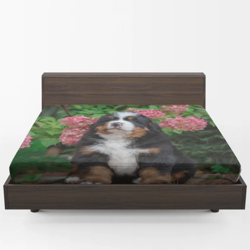 Hydrangea Flower Beauty with Bernese Ba and Puppy: Bernese Mountain Dog Fitted Sheet 1