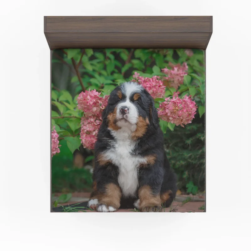 Hydrangea Flower Beauty with Bernese Ba and Puppy: Bernese Mountain Dog Fitted Sheet