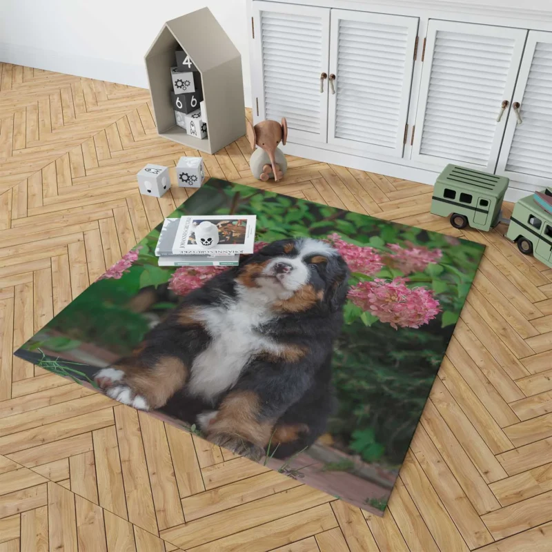 Hydrangea Flower Beauty with Bernese Ba and Puppy: Bernese Mountain Dog Floor Rug 1