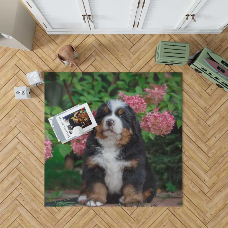 Hydrangea Flower Beauty with Bernese Ba and Puppy: Bernese Mountain Dog Floor Rug