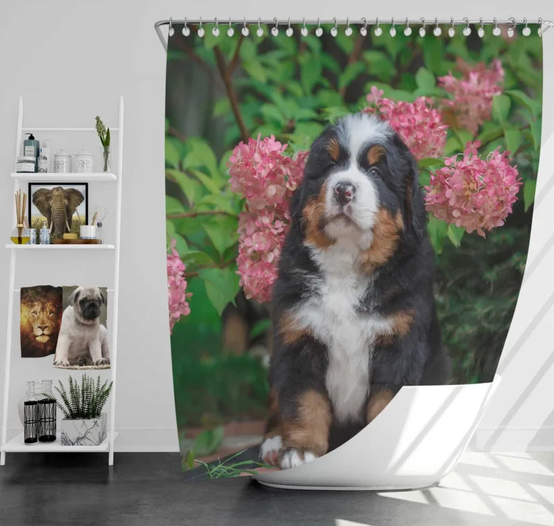 Hydrangea Flower Beauty with Bernese Ba and Puppy: Bernese Mountain Dog Shower Curtain