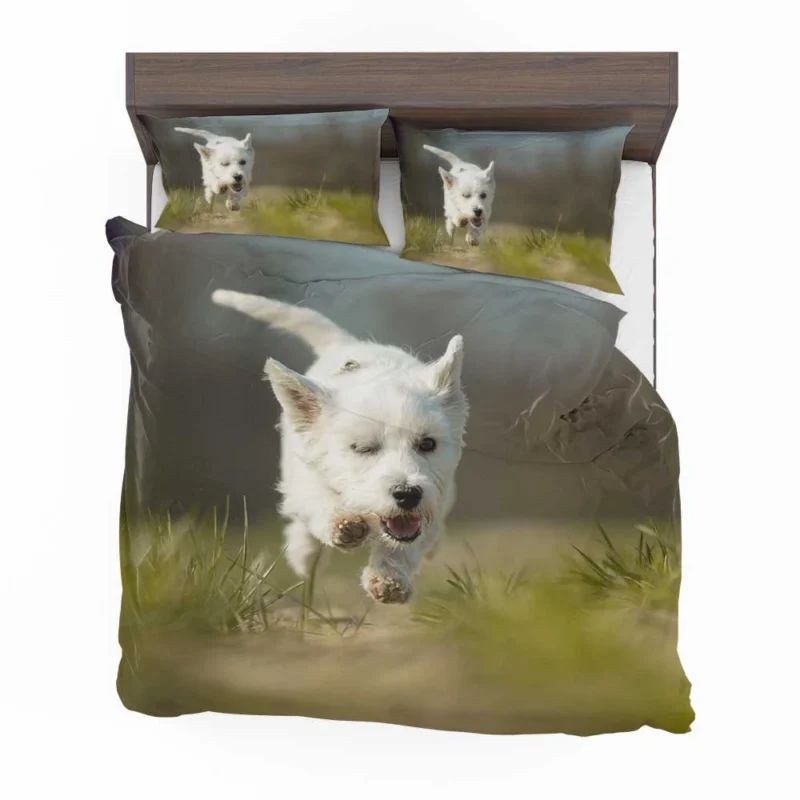 Iconic Charm: West Highland White Terrier Quartet Bedding Set 1