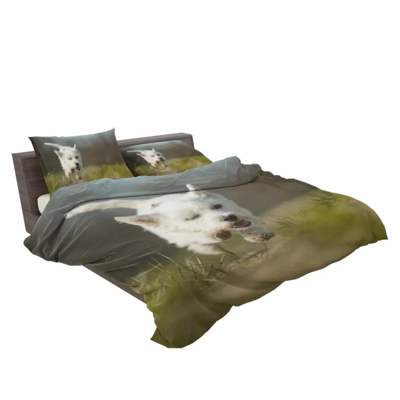 Iconic Charm: West Highland White Terrier Quartet Bedding Set 2