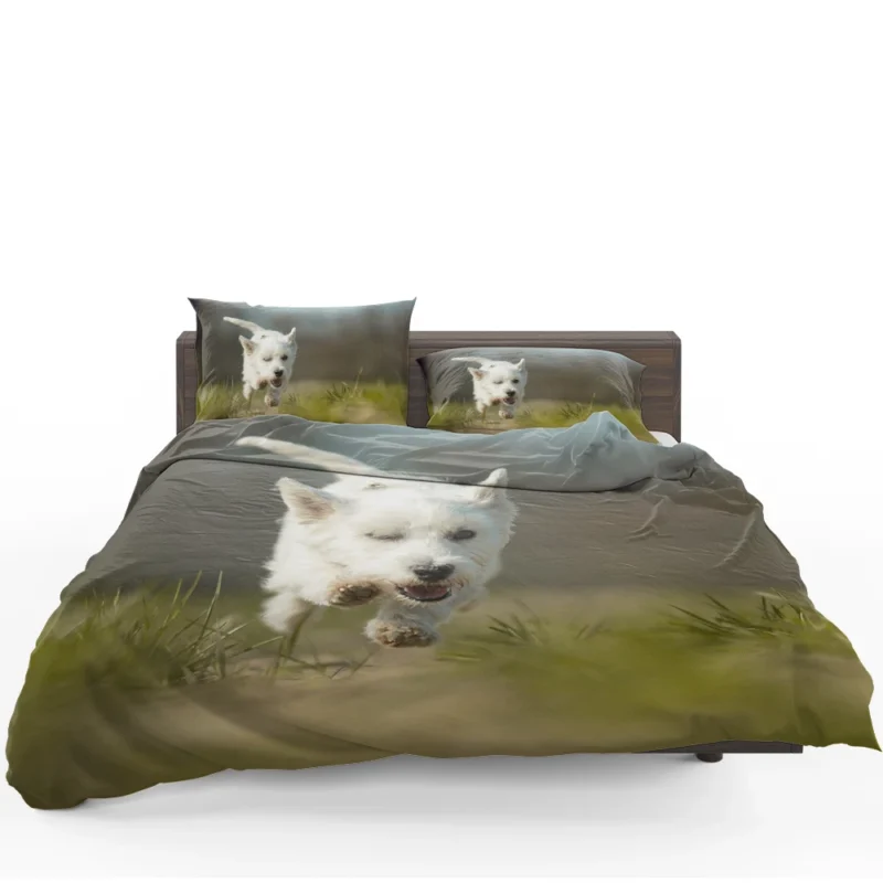 Iconic Charm: West Highland White Terrier Quartet Bedding Set