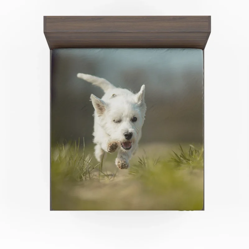 Iconic Charm: West Highland White Terrier Quartet Fitted Sheet