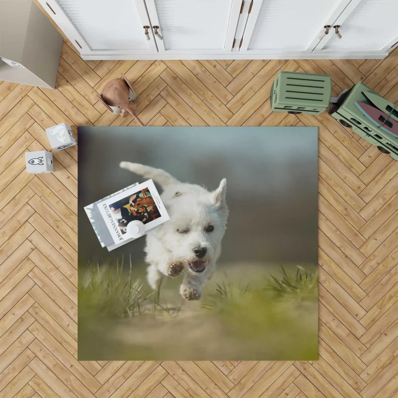 Iconic Charm: West Highland White Terrier Quartet Floor Rug