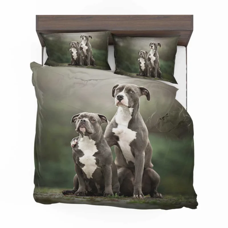 Iconic Strength: American Pit Bull Terrier Quartet Bedding Set 1