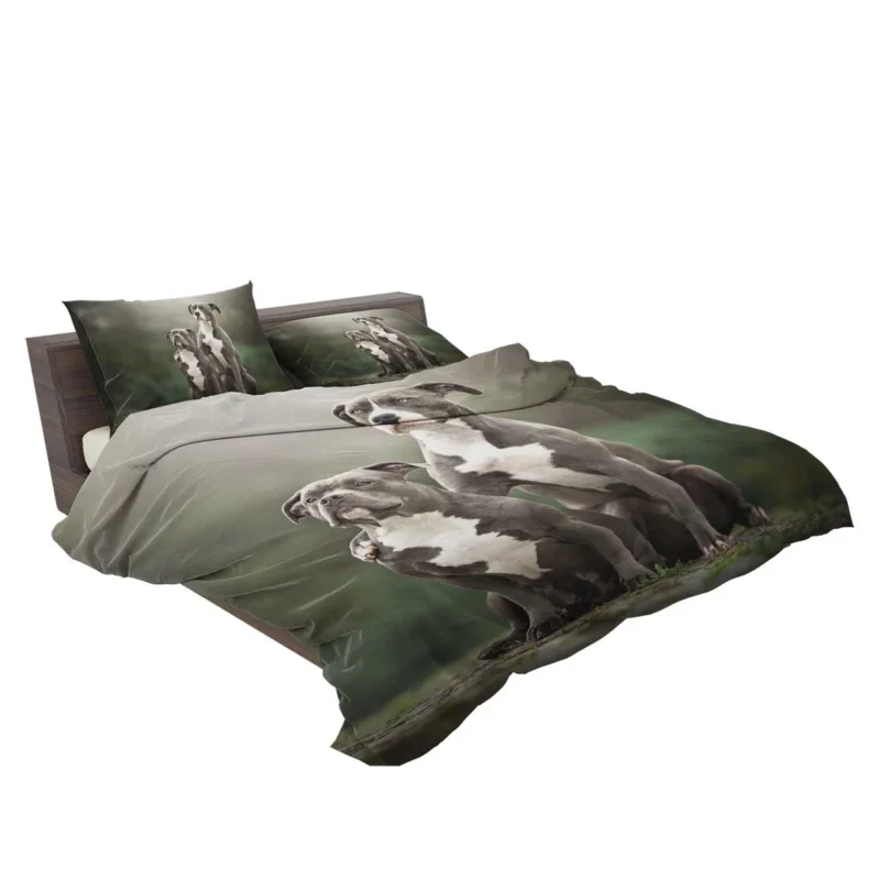 Iconic Strength: American Pit Bull Terrier Quartet Bedding Set 2