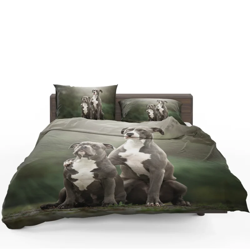 Iconic Strength: American Pit Bull Terrier Quartet Bedding Set