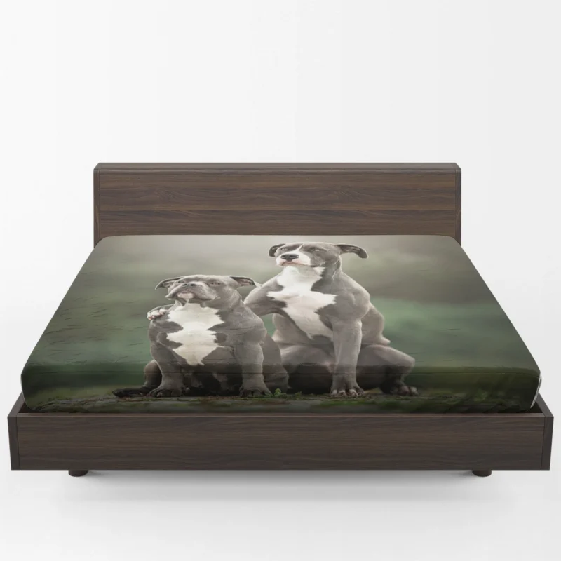 Iconic Strength: American Pit Bull Terrier Quartet Fitted Sheet 1