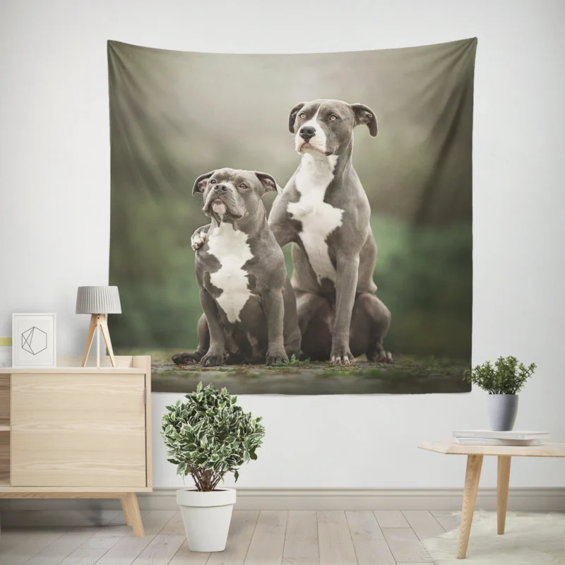 Iconic Strength  American Pit Bull Terrier Quartet Wall Tapestry