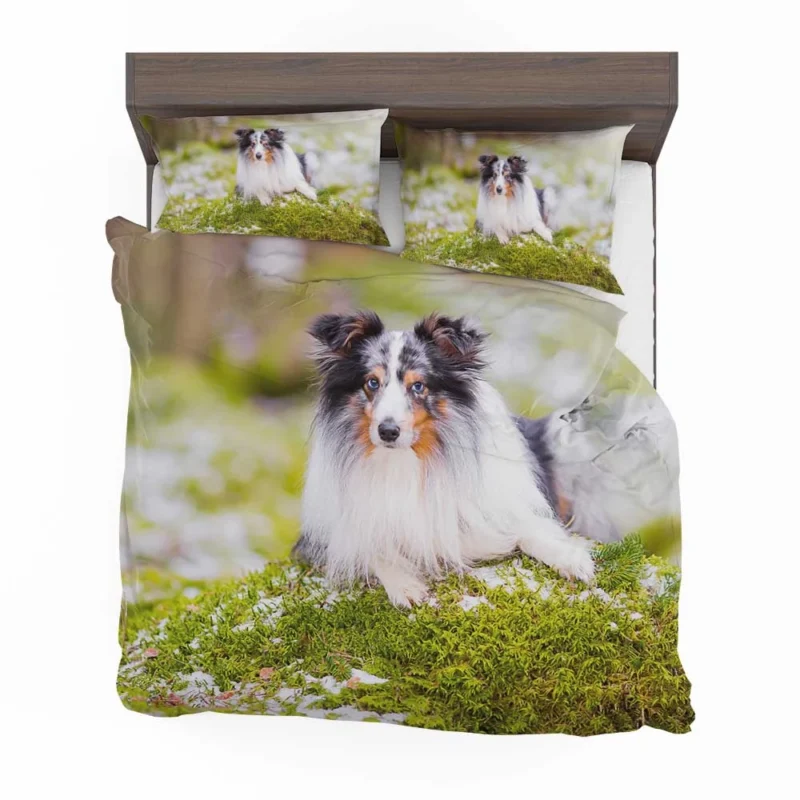 Idyllic Moment: Shetland Sheepdog Quartet Bedding Set 1