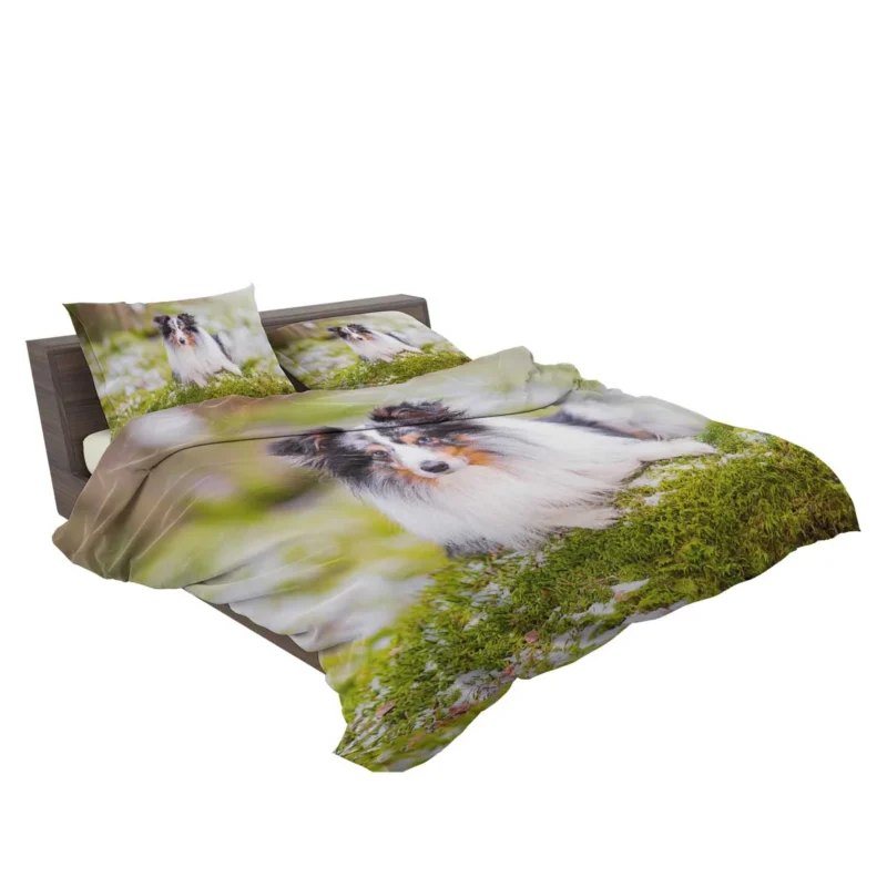 Idyllic Moment: Shetland Sheepdog Quartet Bedding Set 2